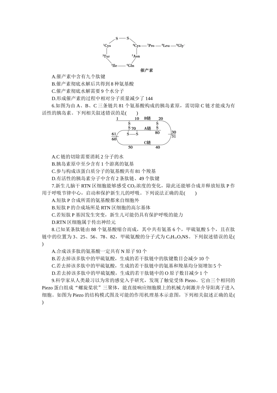 2026版正禾一本通高三一轮总复习生物-小测卷（三）(1).docx_第2页