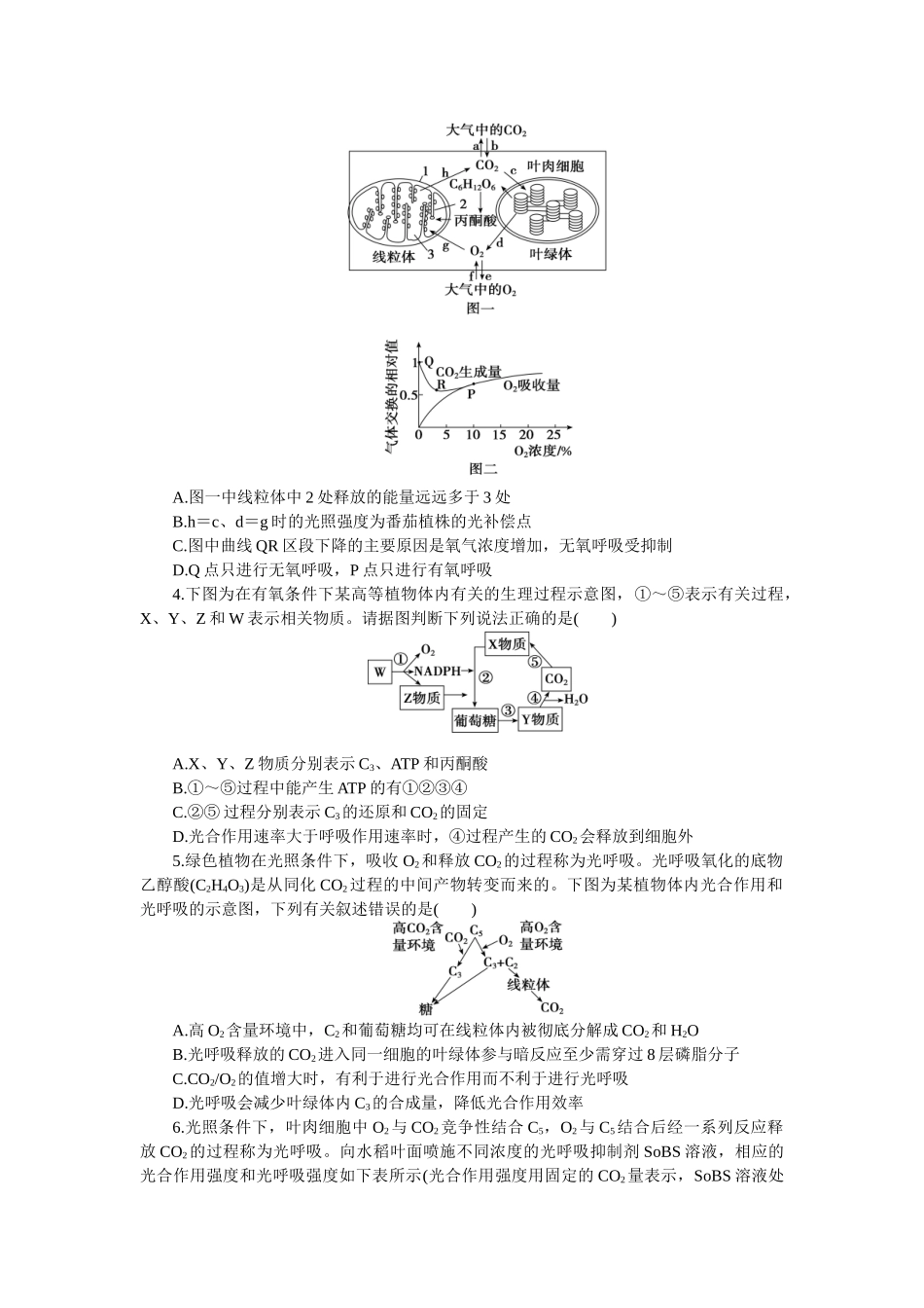 2026版正禾一本通高三一轮总复习生物-小测卷（十五）(1).docx_第2页
