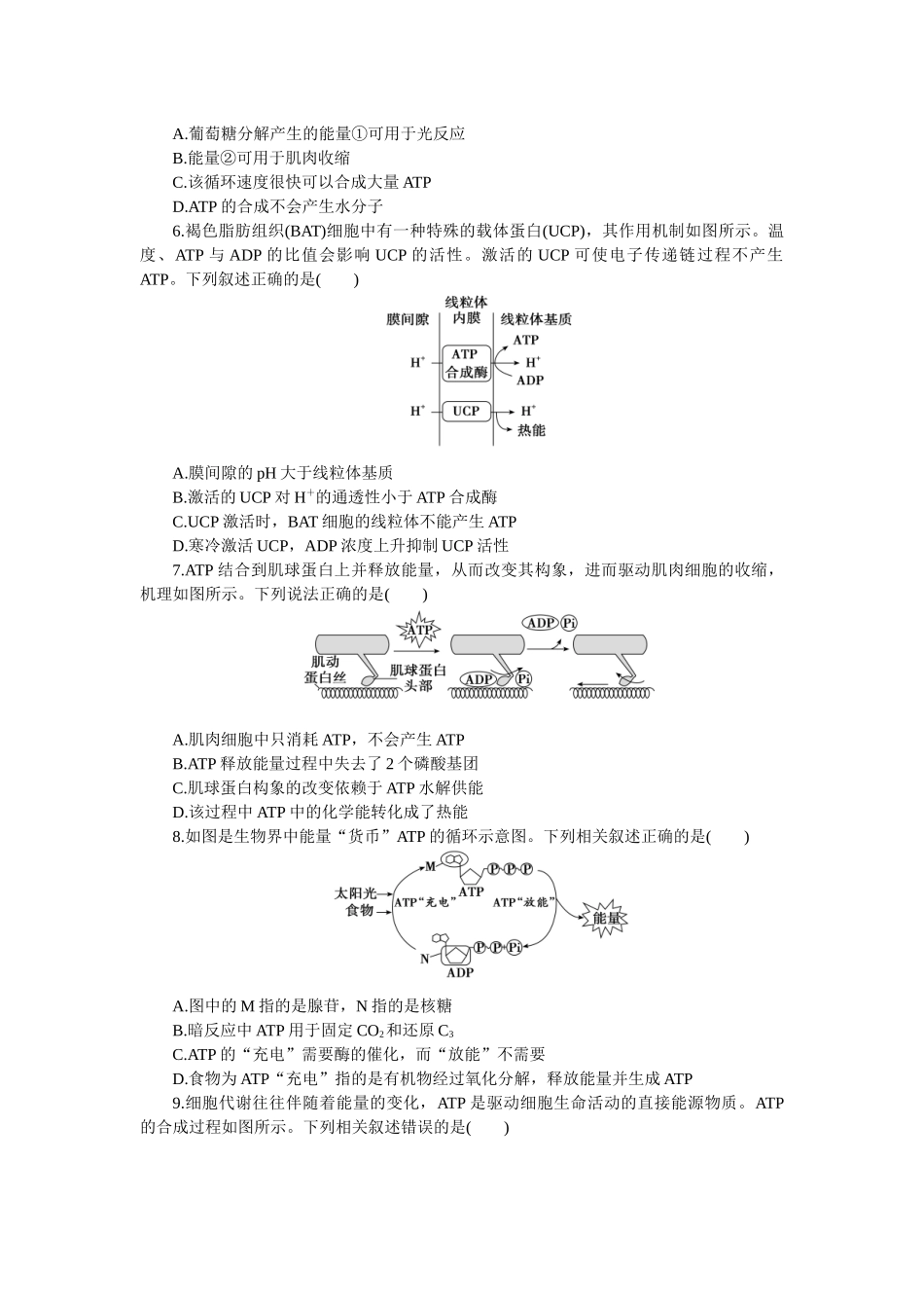2026版正禾一本通高三一轮总复习生物-小测卷（十一）(1).docx_第2页