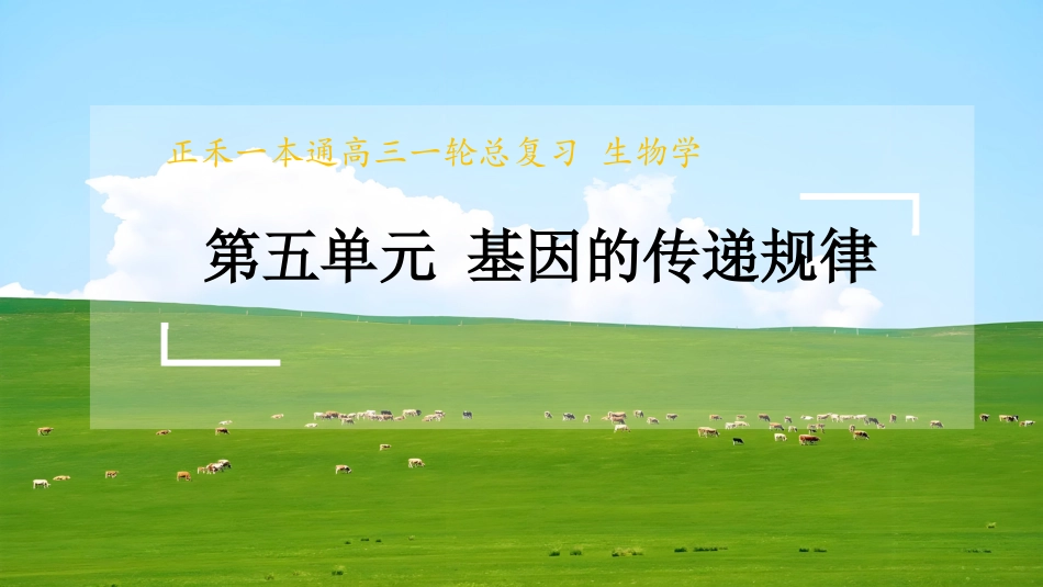 2026版正禾一本通高三一轮总复习生物-长句表达(九)  伴性遗传及人类遗传病的相关表述.pptx_第1页