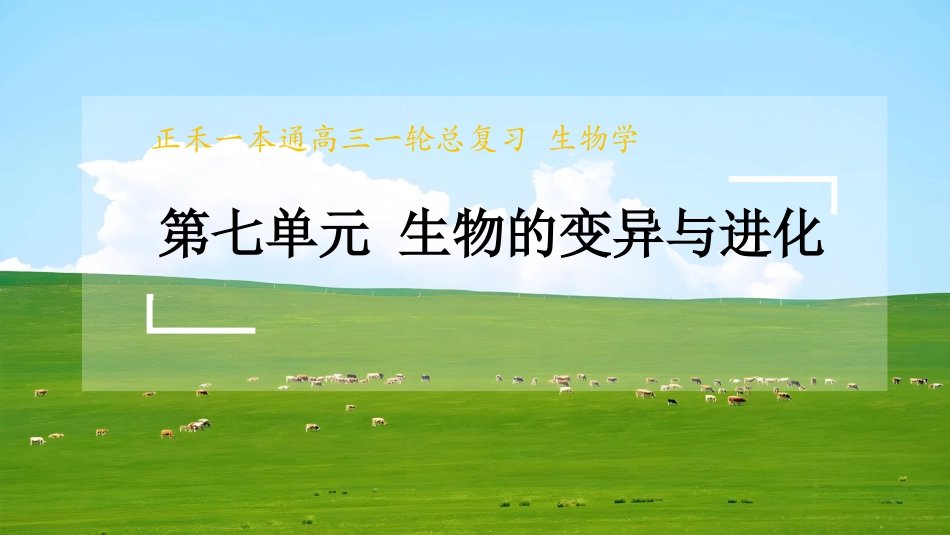 2026版正禾一本通高三一轮总复习生物-长句表达(十三)  生物进化的相关表述.pptx_第1页