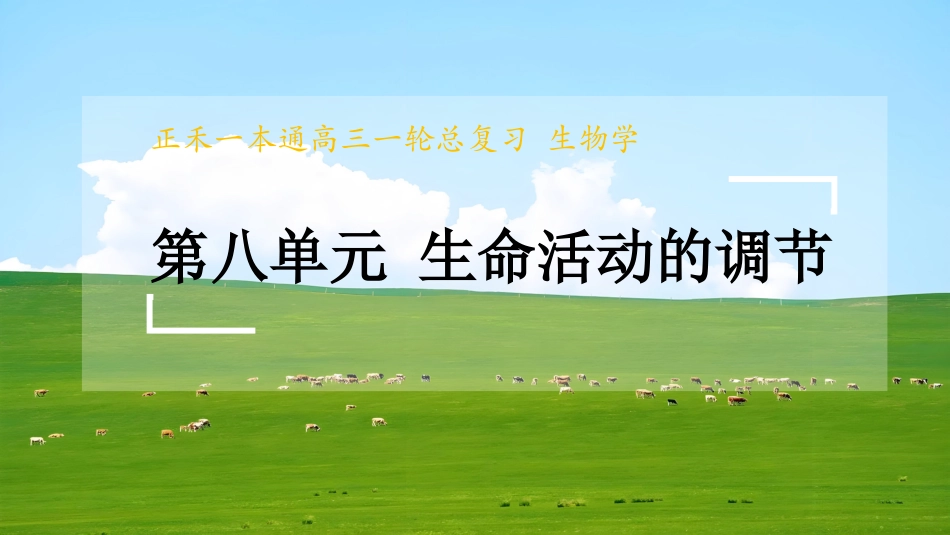 2026版正禾一本通高三一轮总复习生物-长句表达(十四)  内环境稳态及神经调节的相关表达.pptx_第1页
