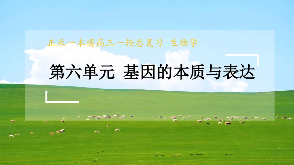 2026版正禾一本通高三一轮总复习生物-长句表达(十一)  基因表达及与性状关系的相关表述.pptx_第1页