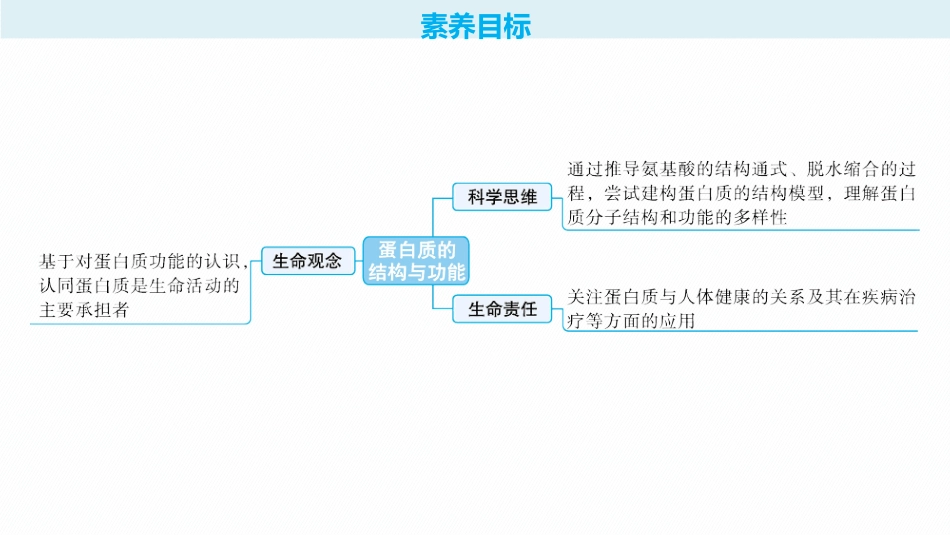 2026年高考总复习优化设计一轮复习生物-第3讲　蛋白质的结构与功能.pptx_第2页