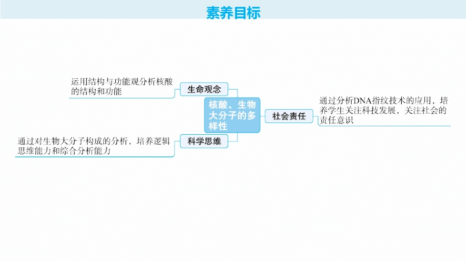2026年高考总复习优化设计一轮复习生物-第4讲　核酸、生物大分子的多样性.pptx_第2页
