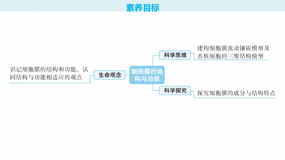 2026年高考总复习优化设计一轮复习生物-第5讲　细胞膜的结构与功能.pptx_第2页