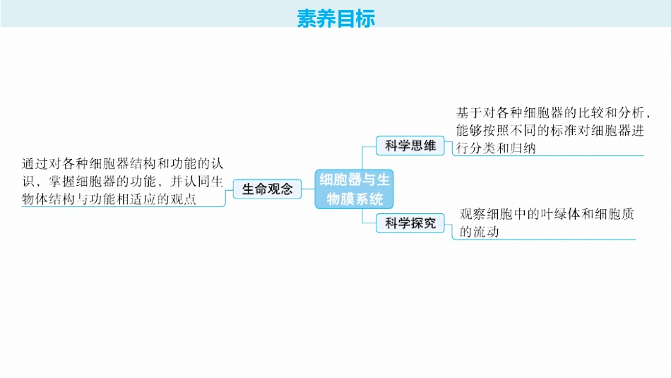 2026年高考总复习优化设计一轮复习生物-第6讲　细胞器与生物膜系统.pptx_第2页