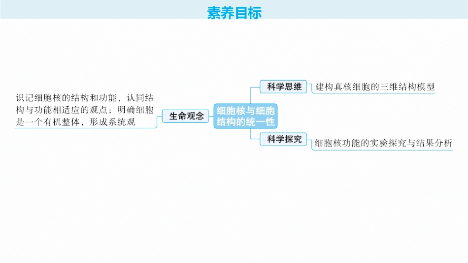 2026年高考总复习优化设计一轮复习生物-第7讲　细胞核与细胞结构的统一性.pptx_第2页