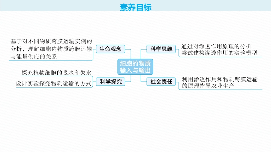 2026年高考总复习优化设计一轮复习生物-第8讲　第1课时　水进出细胞的原理.pptx_第2页