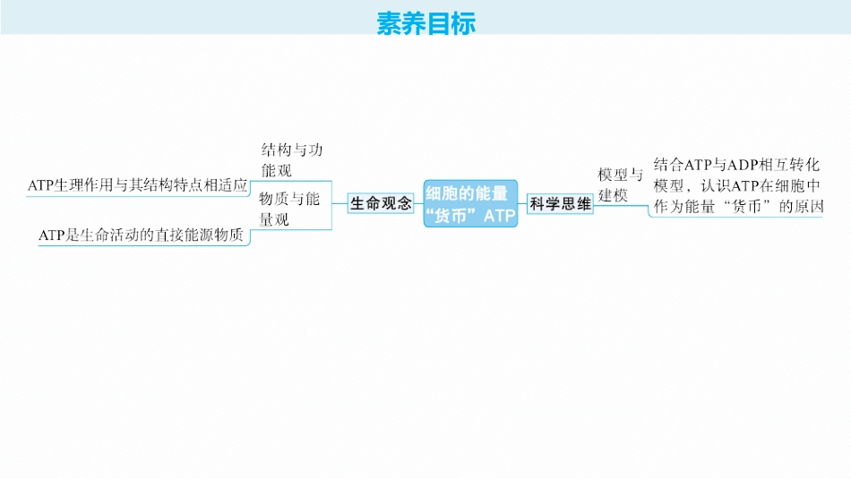 2026年高考总复习优化设计一轮复习生物-第10讲　细胞的能量“货币”ATP.pptx_第2页