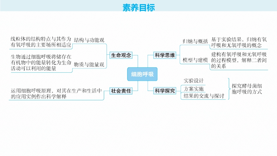 2026年高考总复习优化设计一轮复习生物-第11讲　第1课时　细胞呼吸的原理和过程.pptx_第2页