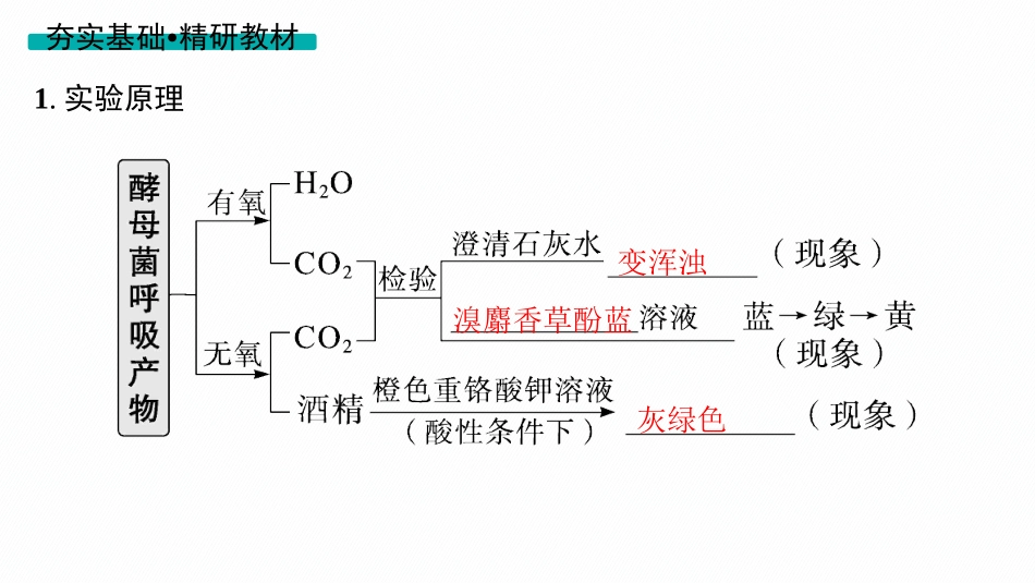 2026年高考总复习优化设计一轮复习生物-第11讲　第2课时　探究酵母菌细胞呼吸的方式、影响细胞呼吸的因素及细胞呼吸原理的应用.pptx_第3页