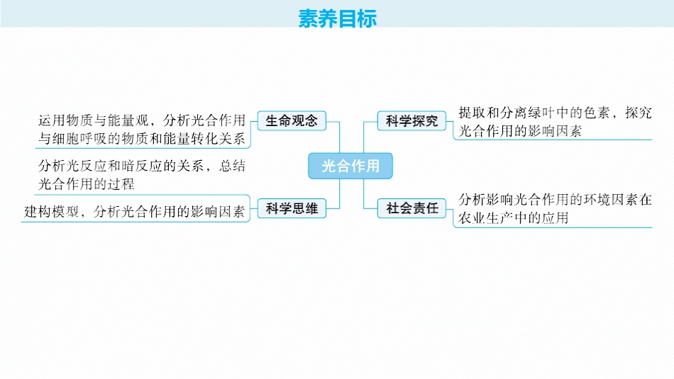 2026年高考总复习优化设计一轮复习生物-第12讲　第1课时　捕获光能的色素和结构、光合作用原理的探索.pptx_第2页