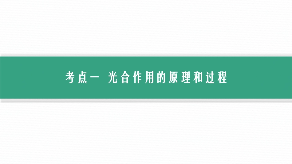 2026年高考总复习优化设计一轮复习生物-第12讲　第2课时　光合作用原理.pptx_第2页