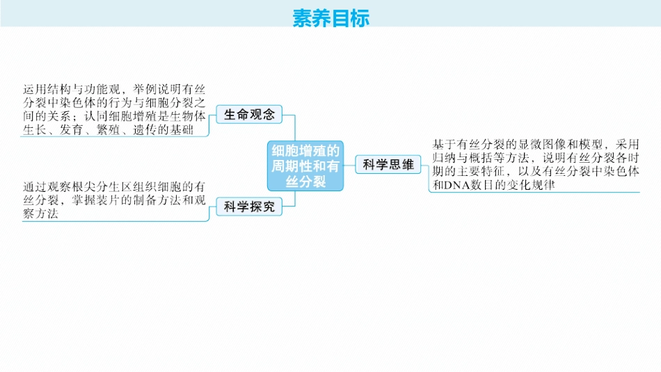 2026年高考总复习优化设计一轮复习生物-第13讲　细胞增殖的周期性和有丝分裂.pptx_第2页