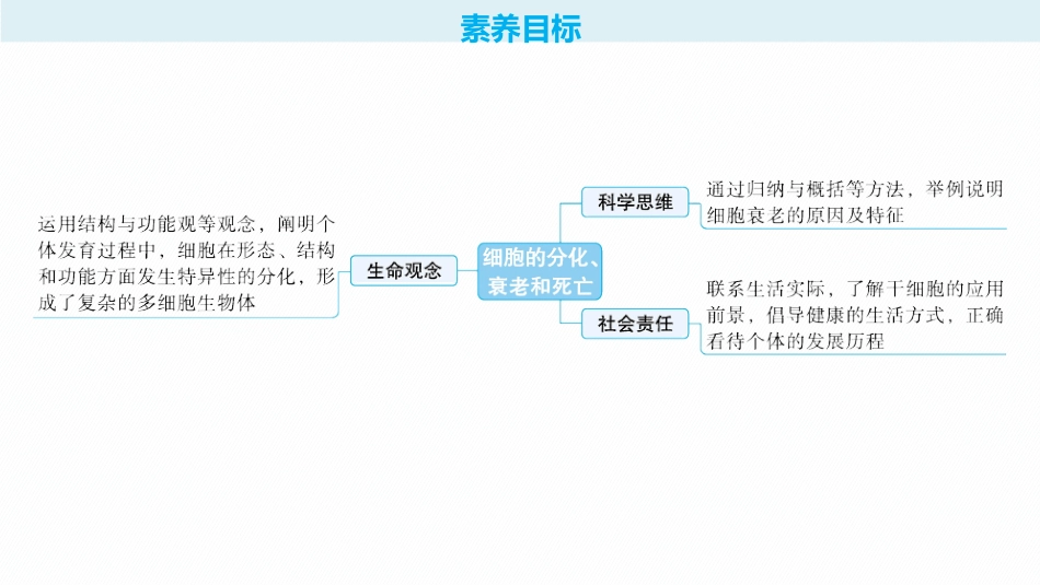 2026年高考总复习优化设计一轮复习生物-第15讲　细胞的分化、衰老和死亡.pptx_第2页
