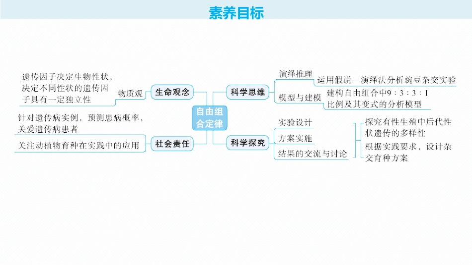 2026年高考总复习优化设计一轮复习生物-第17讲　第1课时　自由组合定律的发现及应用.pptx_第2页