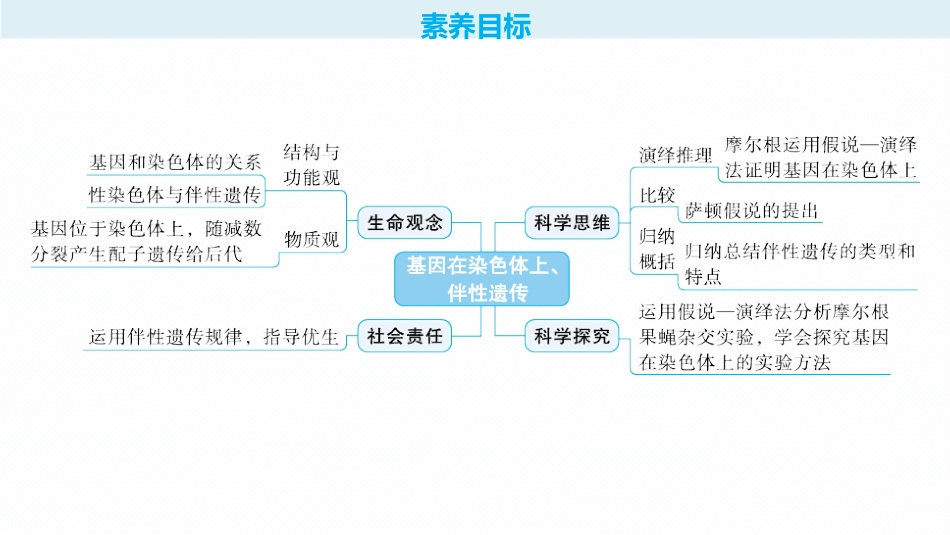 2026年高考总复习优化设计一轮复习生物-第18讲　基因在染色体上、伴性遗传.pptx_第2页