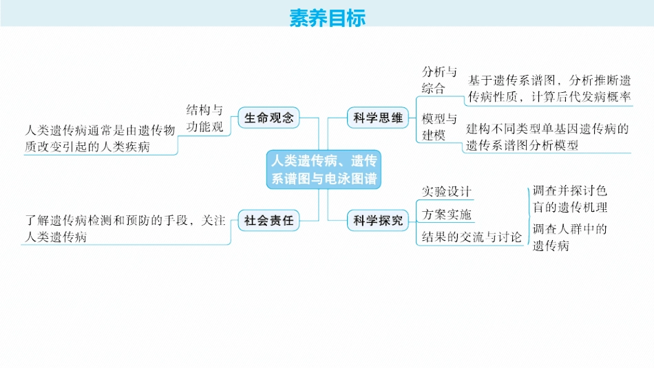 2026年高考总复习优化设计一轮复习生物-第19讲　人类遗传病、遗传系谱图与电泳图谱.pptx_第2页