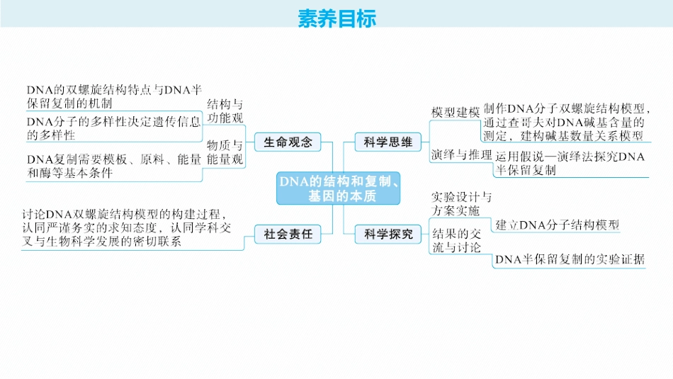 2026年高考总复习优化设计一轮复习生物-第21讲　DNA的结构和复制、基因的本质.pptx_第2页