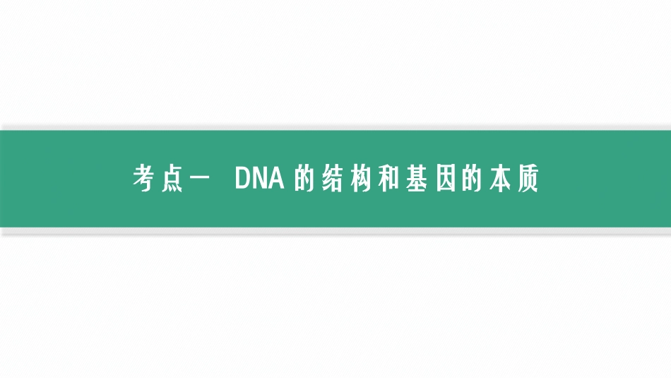 2026年高考总复习优化设计一轮复习生物-第21讲　DNA的结构和复制、基因的本质.pptx_第3页