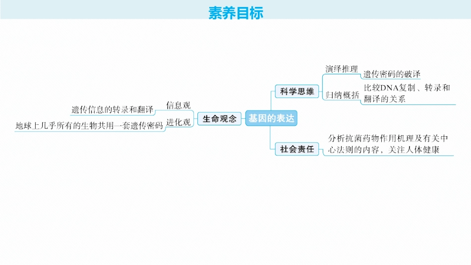 2026年高考总复习优化设计一轮复习生物-第22讲　基因的表达.pptx_第2页