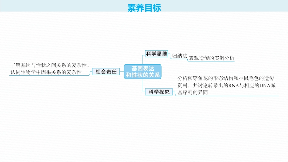 2026年高考总复习优化设计一轮复习生物-第23讲　基因表达和性状的关系.pptx_第2页