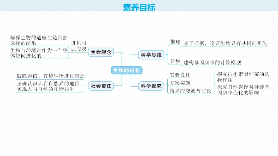 2026年高考总复习优化设计一轮复习生物-第26讲　生物的进化.pptx_第2页