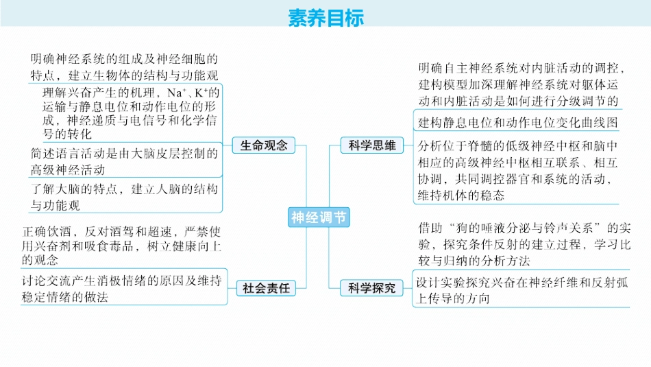 2026年高考总复习优化设计一轮复习生物-第28讲　第1课时　　神经调节的结构基础及基本方式.pptx_第2页