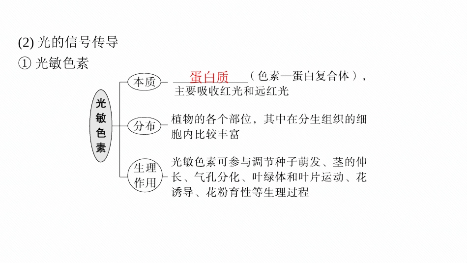 2026年高考总复习优化设计一轮复习生物-第31讲　第3课时　环境因素参与调节植物的生命活动.pptx_第3页
