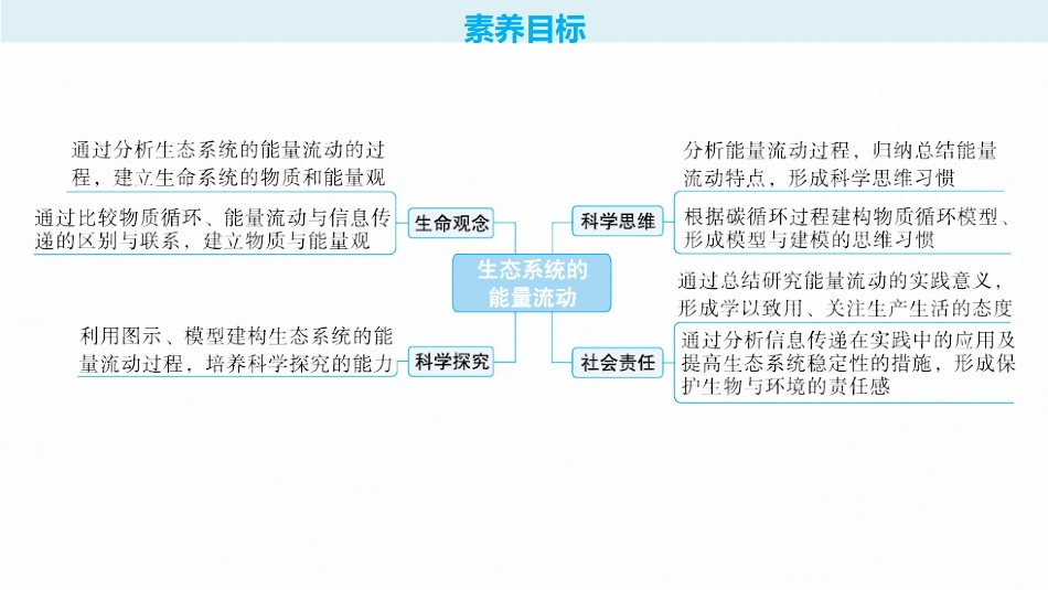 2026年高考总复习优化设计一轮复习生物-第35讲　第1课时　生态系统的能量流动.pptx_第2页