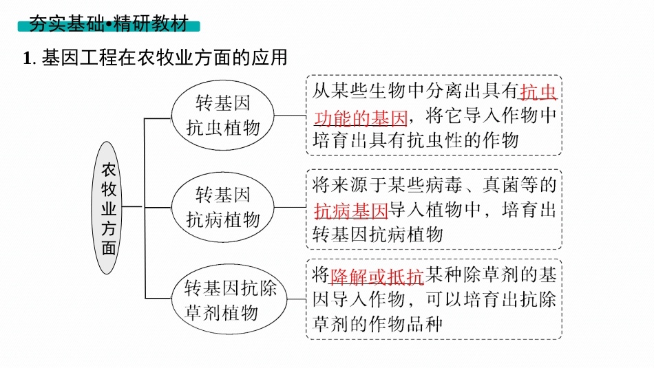 2026年高考总复习优化设计一轮复习生物-第43讲　第2课时　基因工程的应用及蛋白质工程.pptx_第3页