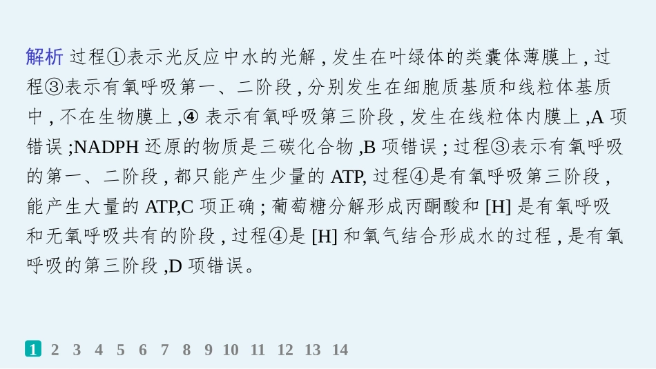 2026年高考总复习优化设计一轮复习生物-课时规范练15　光合作用原理.pptx_第3页