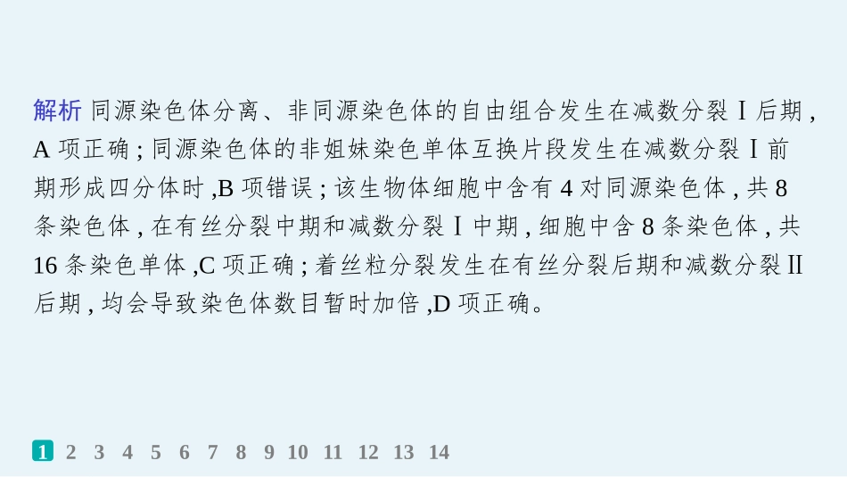 2026年高考总复习优化设计一轮复习生物-课时规范练20　减数分裂与有丝分裂的比较.pptx_第3页