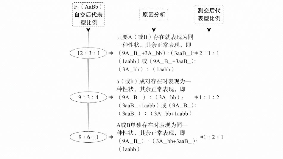 2026年高考总复习优化设计一轮复习生物-专题精研课4　自由组合定律中的特殊比例、探究不同对基因在常染色体上的位置.pptx_第3页