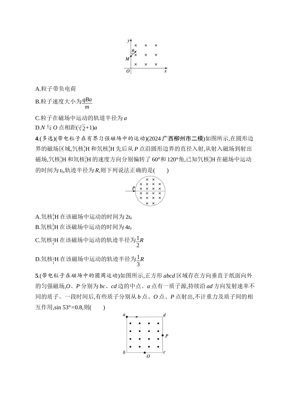 2026年高考总复习优化设计一轮复习物理（广西版）-课时规范练31　磁场对运动电荷的作用.docx_第2页