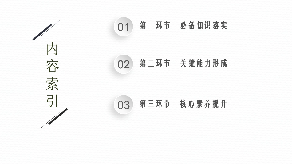 2026年高考总复习优化设计一轮复习物理（人教版）-第2讲　磁场对运动电荷的作用力.pptx_第2页