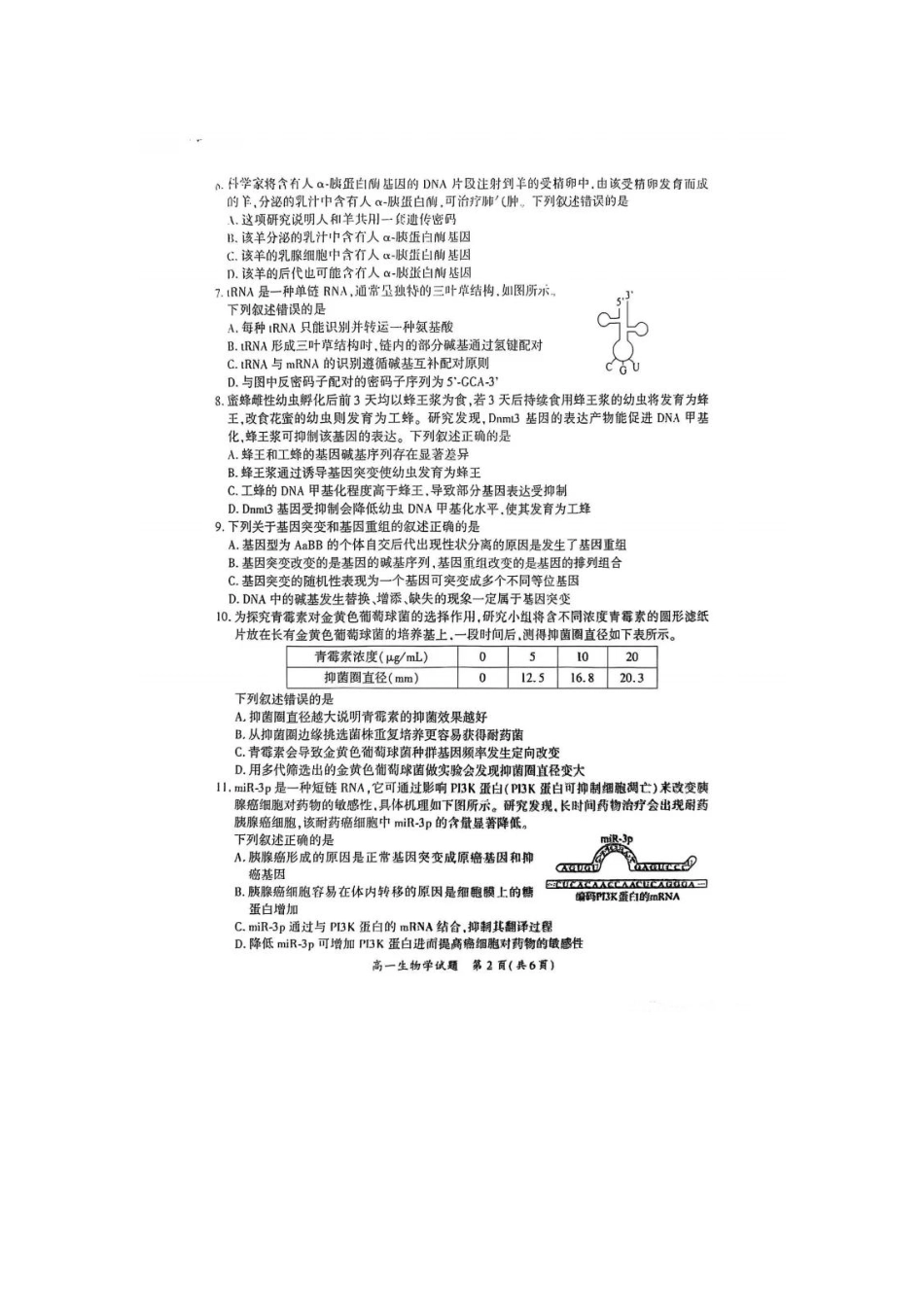 【生物】2025.7厦门高一期末质检卷真题.pdf_第2页