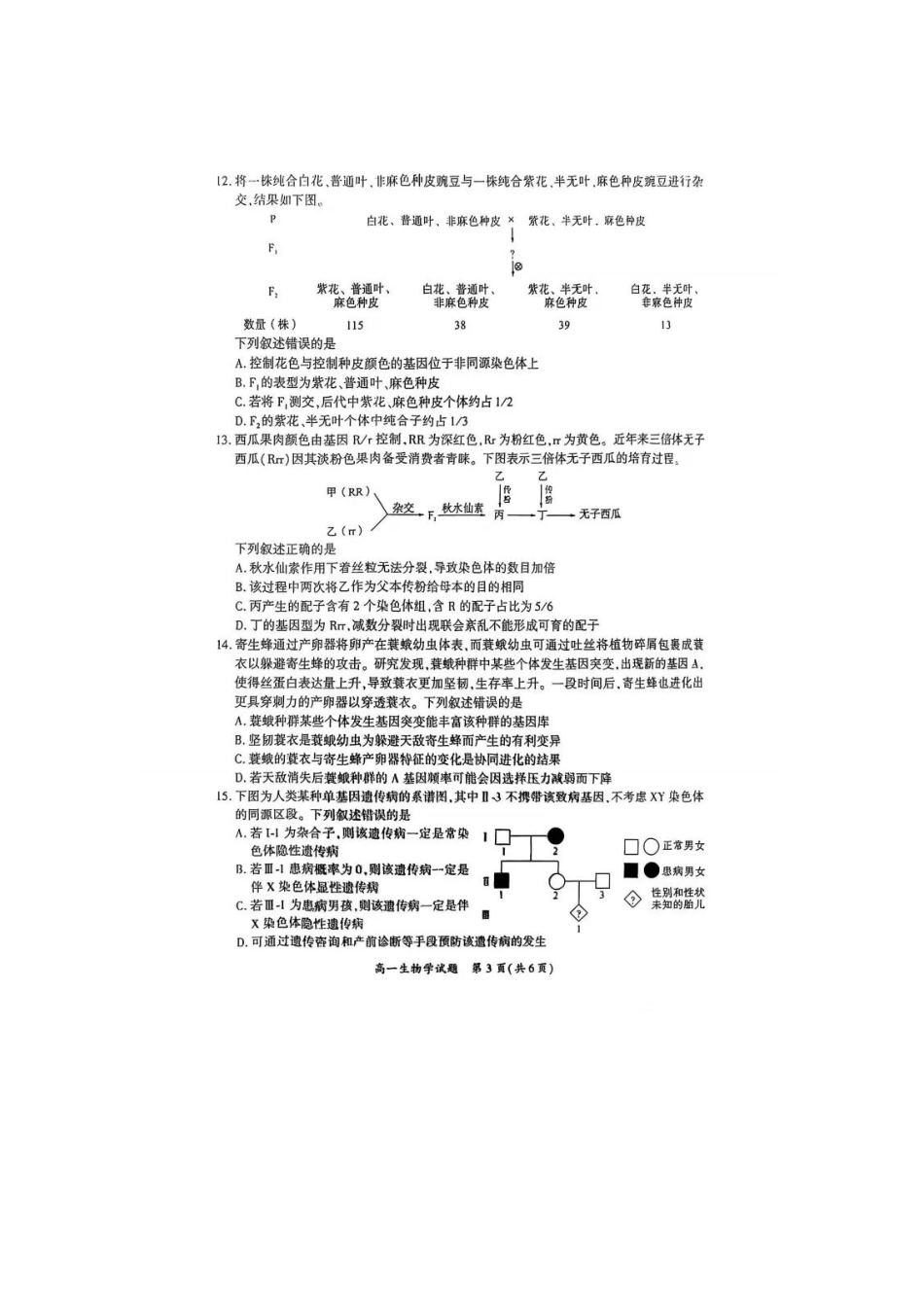 【生物试卷】【福建卷】【高一下期末考】福建省厦门市2024-2025学年第二学期高一年级期末质量检测(7.4-7.8).pdf_第3页