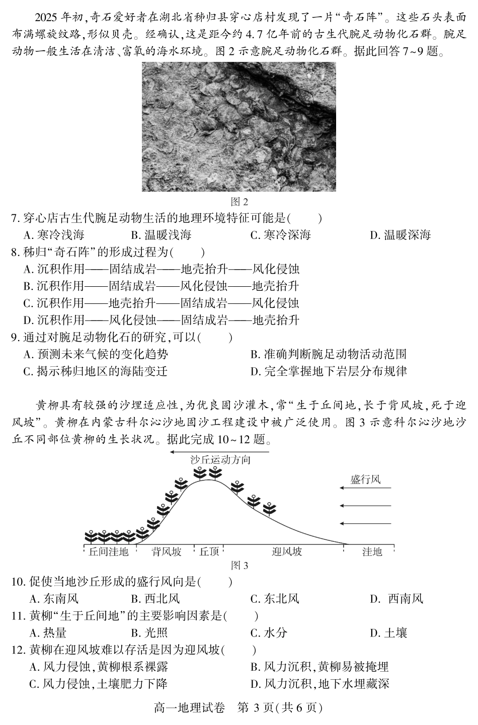 恩施州普通高中2024-2025学年高一质量监测考试地理.pdf_第3页