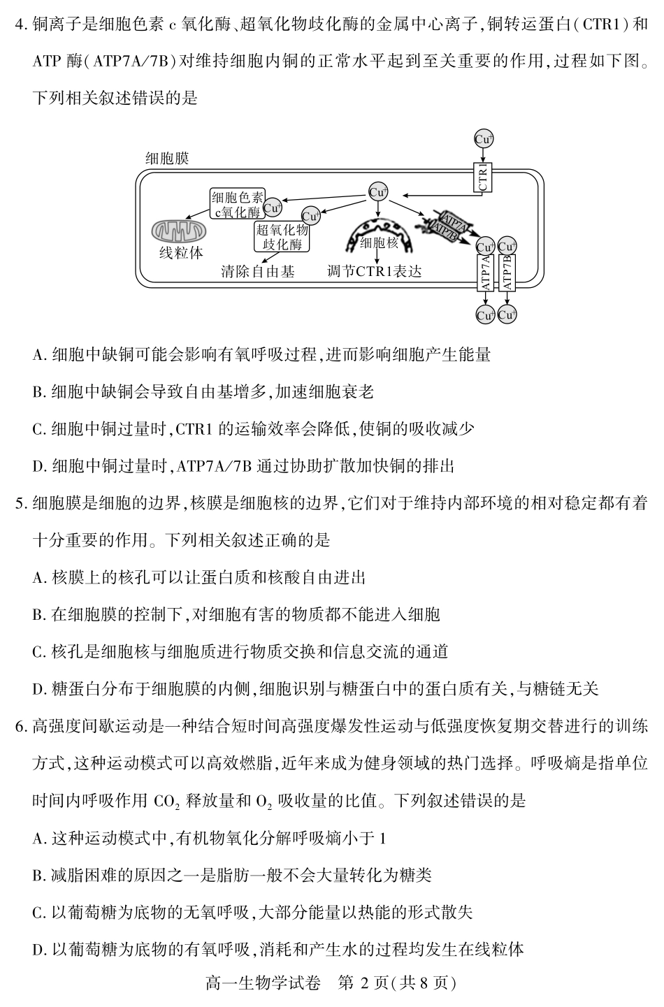 恩施州普通高中2024-2025学年高一质量监测考试生物.pdf_第2页