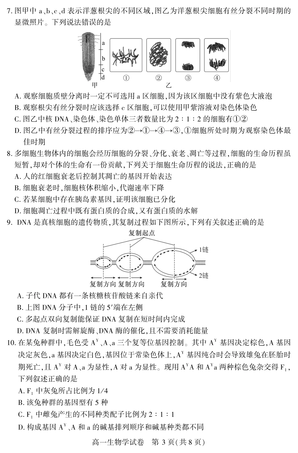 恩施州普通高中2024-2025学年高一质量监测考试生物.pdf_第3页