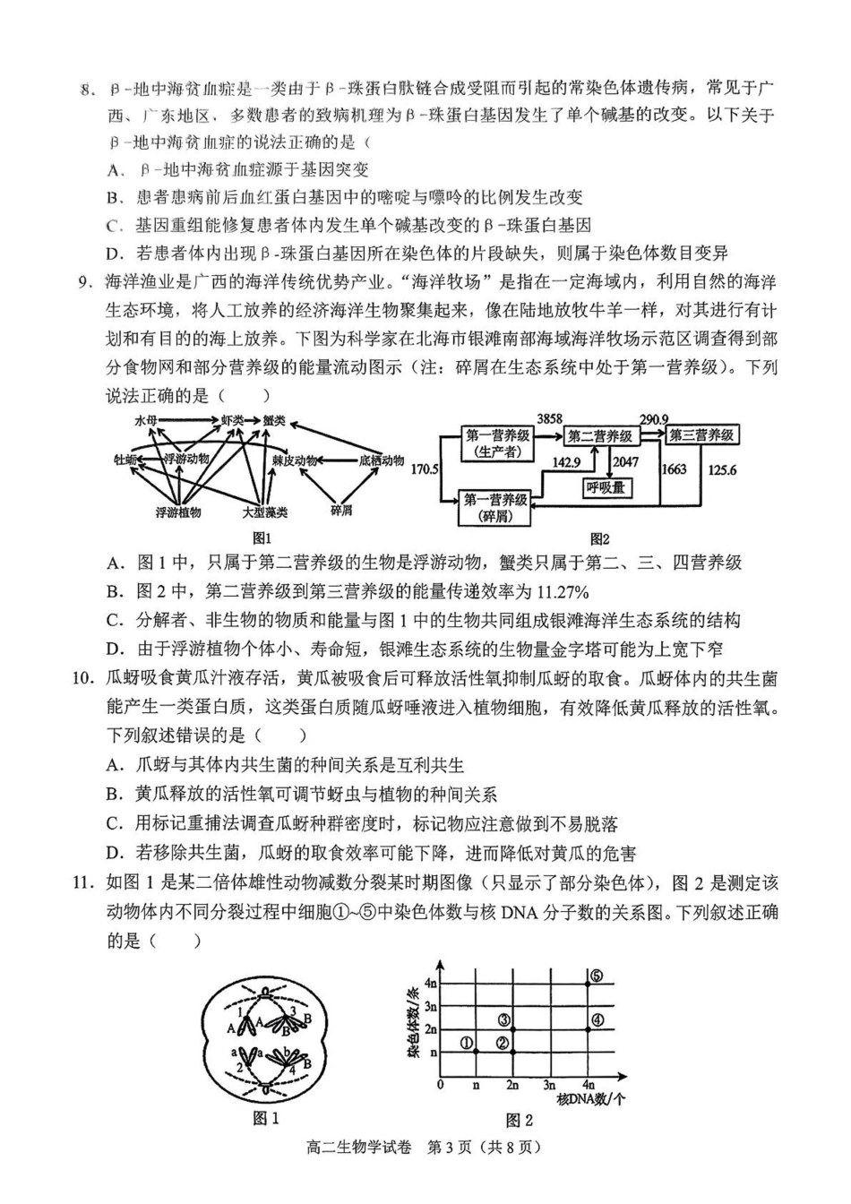 广西南宁市部分学校2024-2025学年高二下学期6月期末考试生物含解析.pdf_第3页