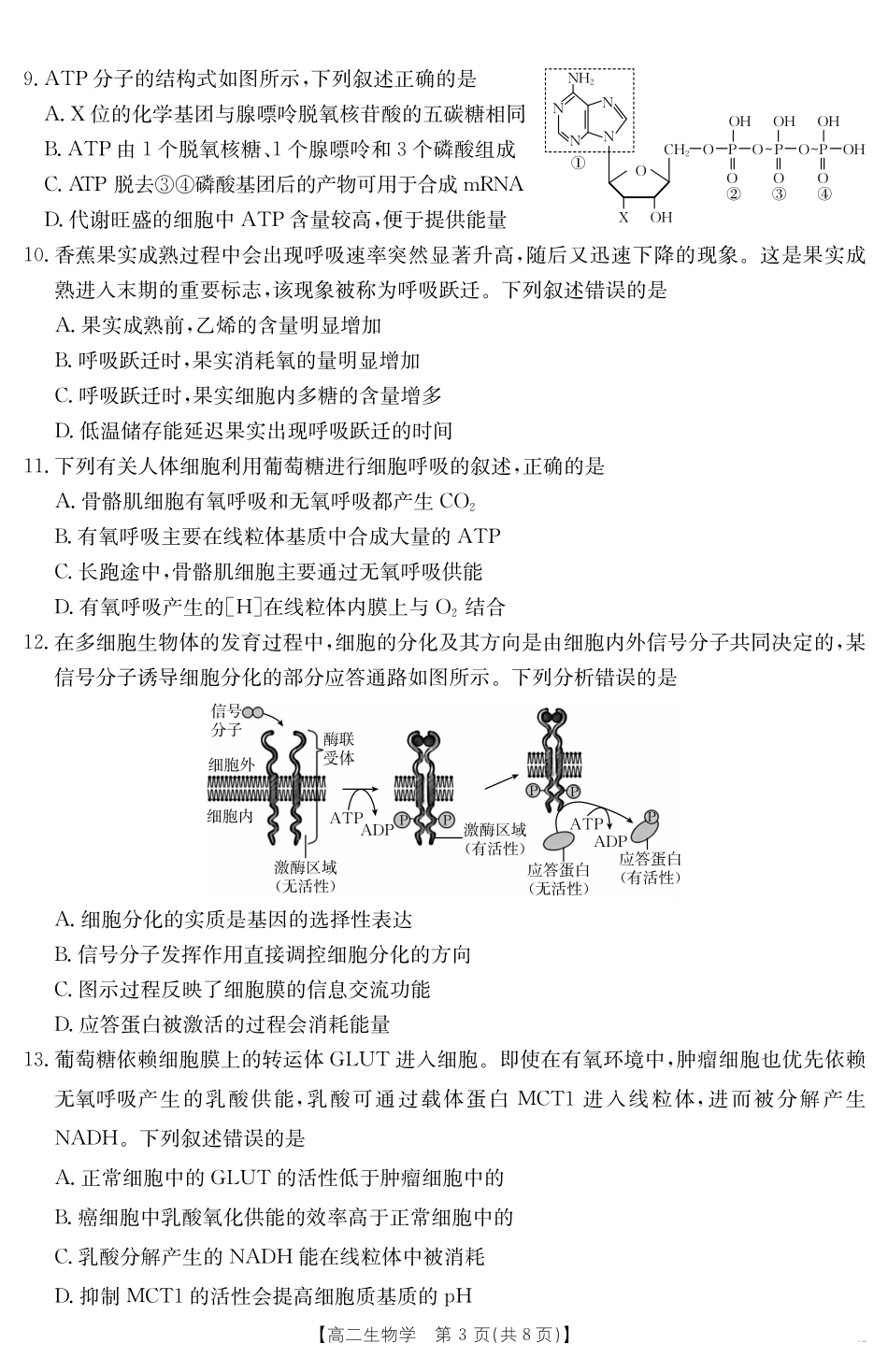 河北省2024-2025学年高二下学期7月联考生物.pdf_第3页