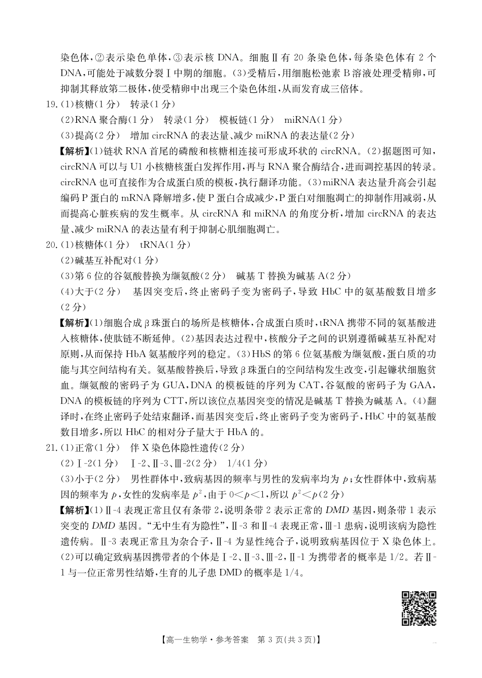 河南新乡2024-2025学年下学期高一生物试卷（期末考试）答案.pdf_第3页
