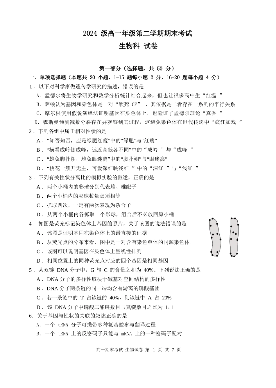 生物高一下期末考试试卷【广东卷】【高一下期末考】广东省汕头市金山中学2024级(2027届)高一第二学期期末考试(7月初).docx_第1页
