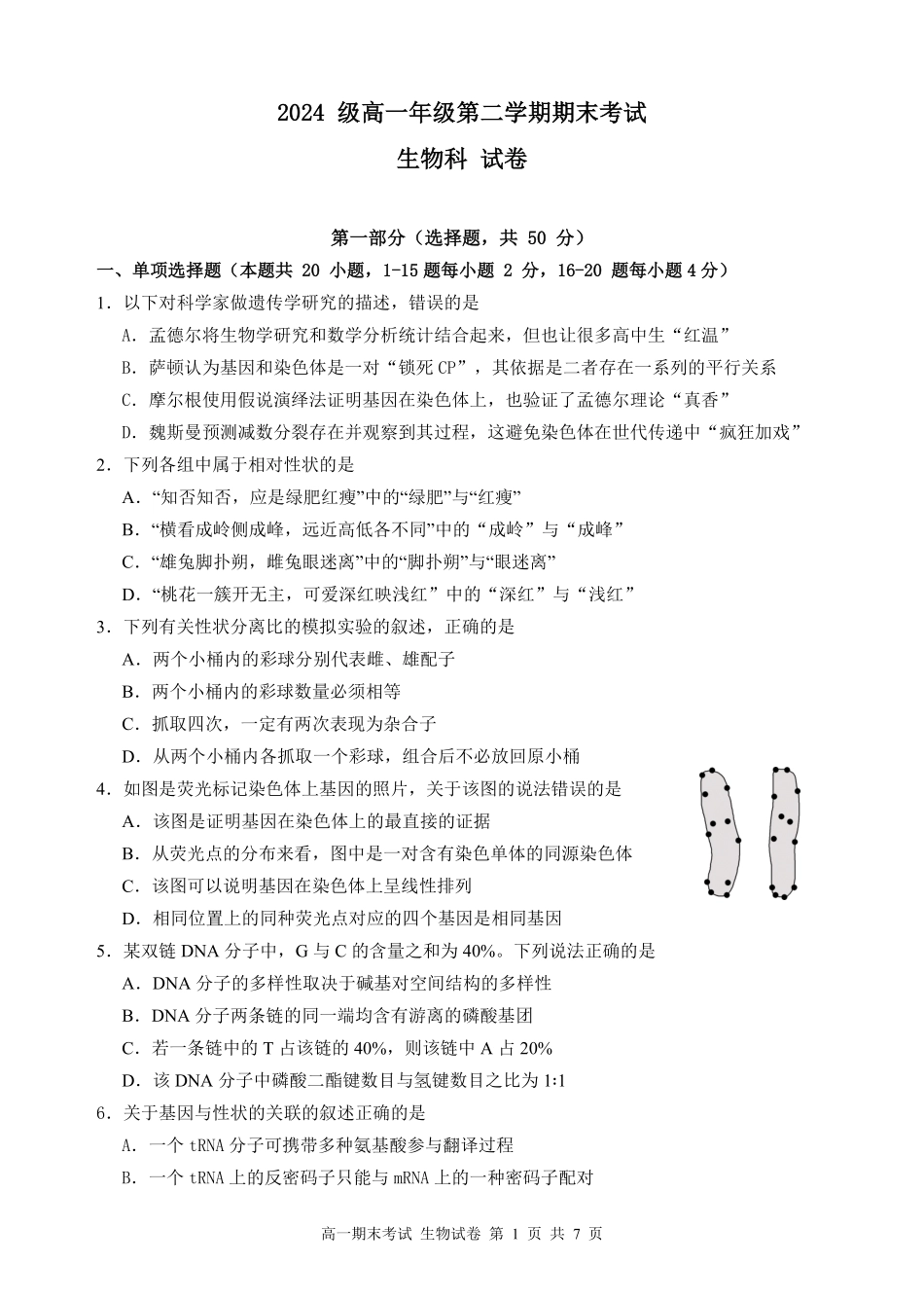 生物高一下期末考试试卷【广东卷】【高一下期末考】广东省汕头市金山中学2024级(2027届)高一第二学期期末考试(7月初).pdf_第1页