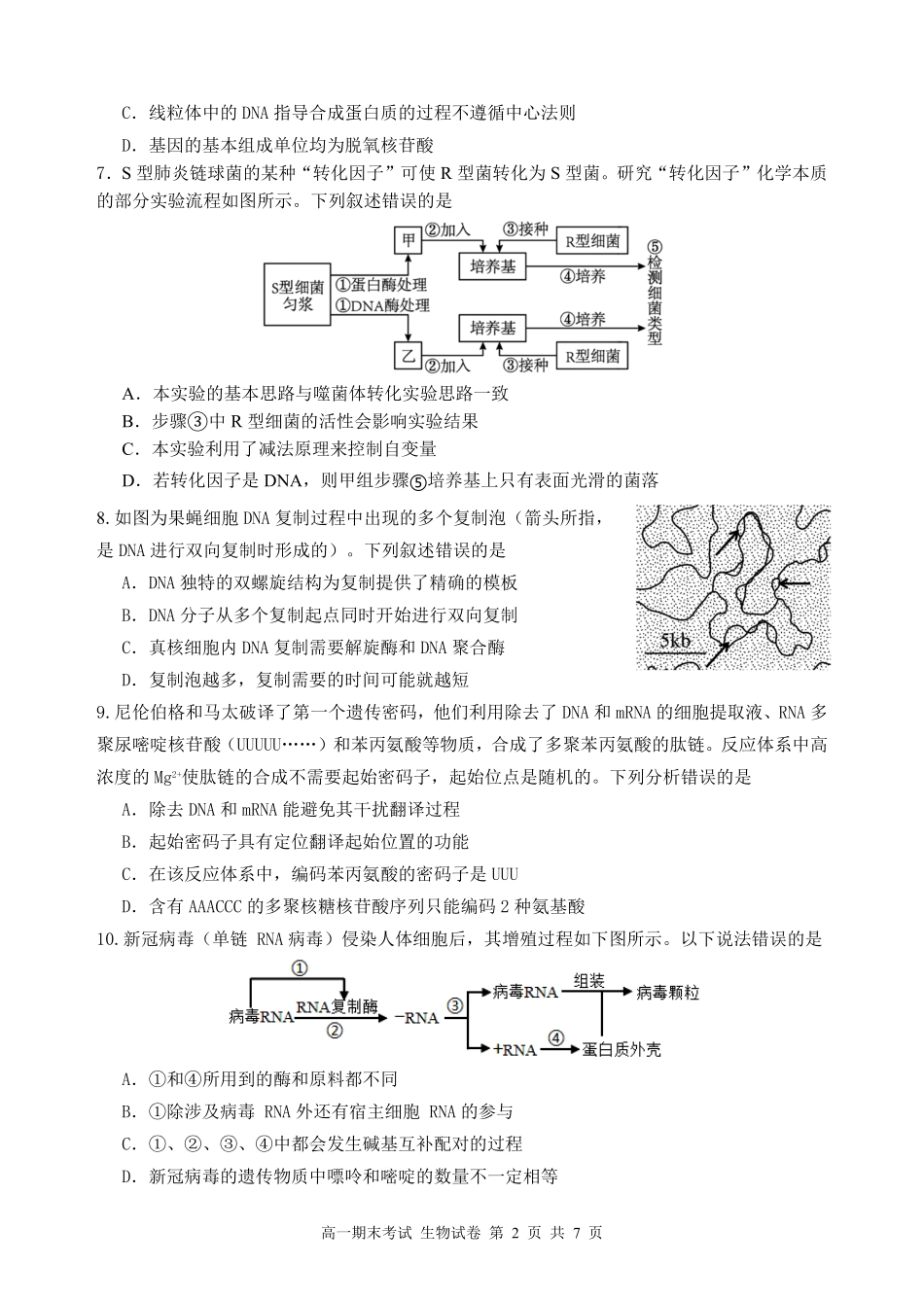 生物高一下期末考试试卷【广东卷】【高一下期末考】广东省汕头市金山中学2024级(2027届)高一第二学期期末考试(7月初).pdf_第2页