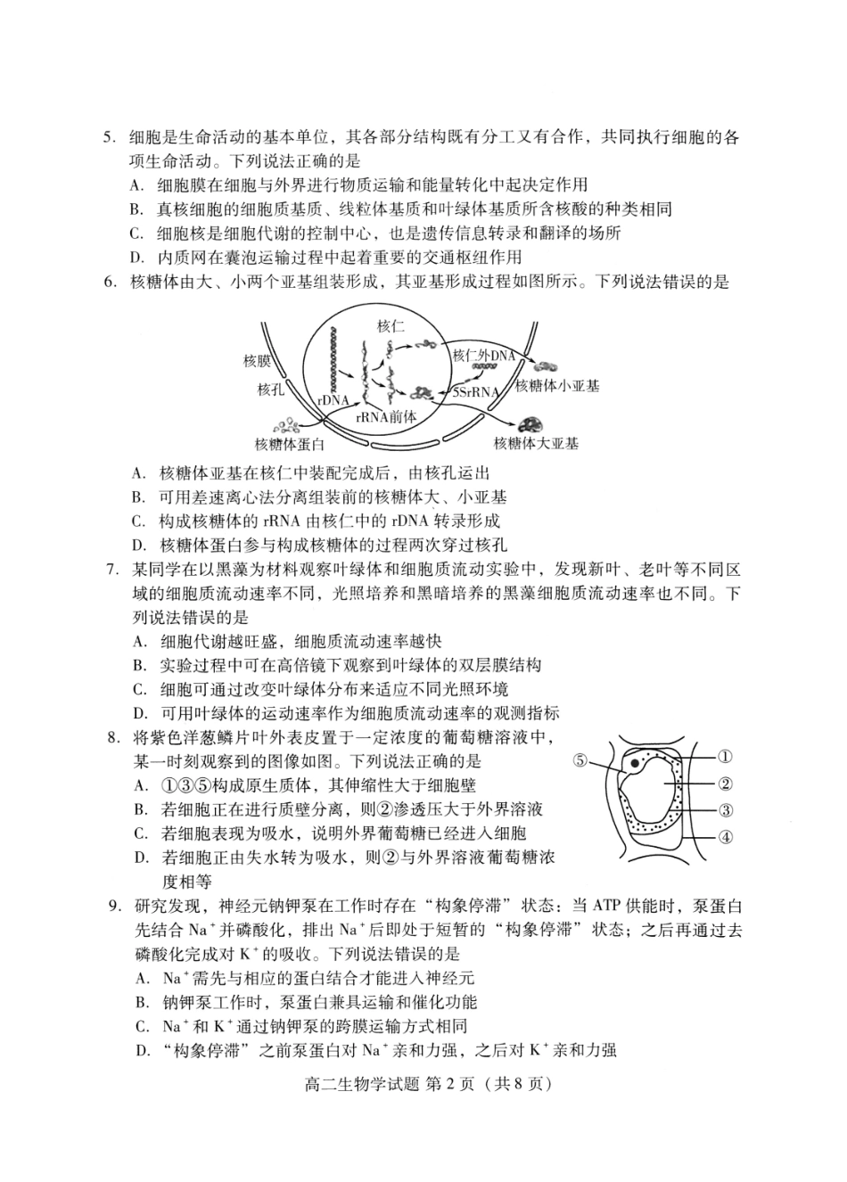 生物试卷(高二下期末考7.8-7.10)【山东卷】【高二下期末考】山东省潍坊市2026届高二阶段性调研监测（高二下学期期末）(7.8-70.10).pdf_第2页
