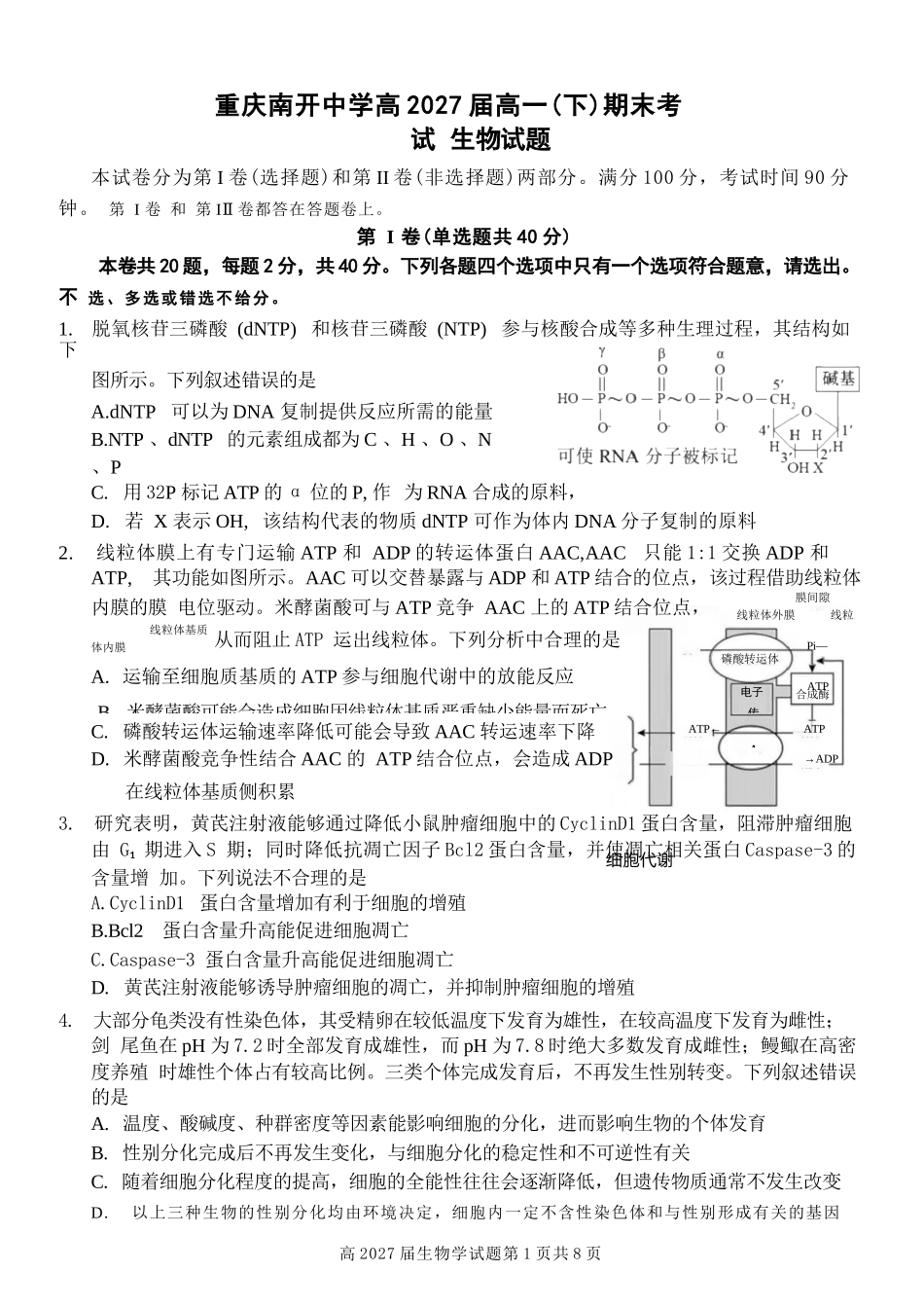 生物试卷【Top50强校】【重庆卷】【高一下期末考】重庆南开中学2027届高一（下）期末考试(7.3-7.4).docx_第1页